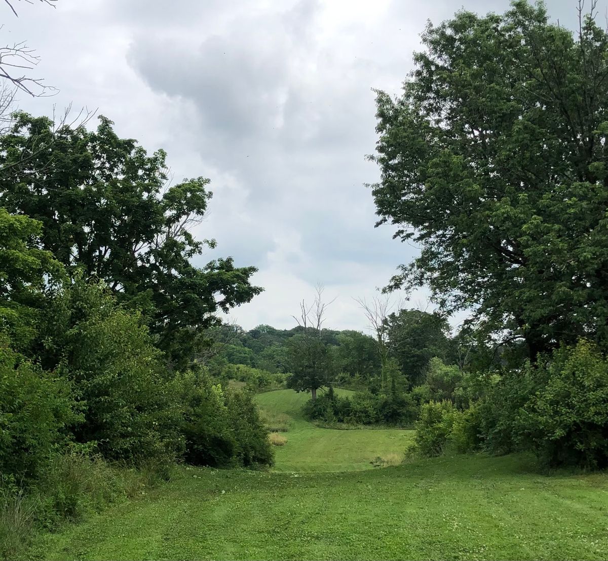 Hole 15 main gap.