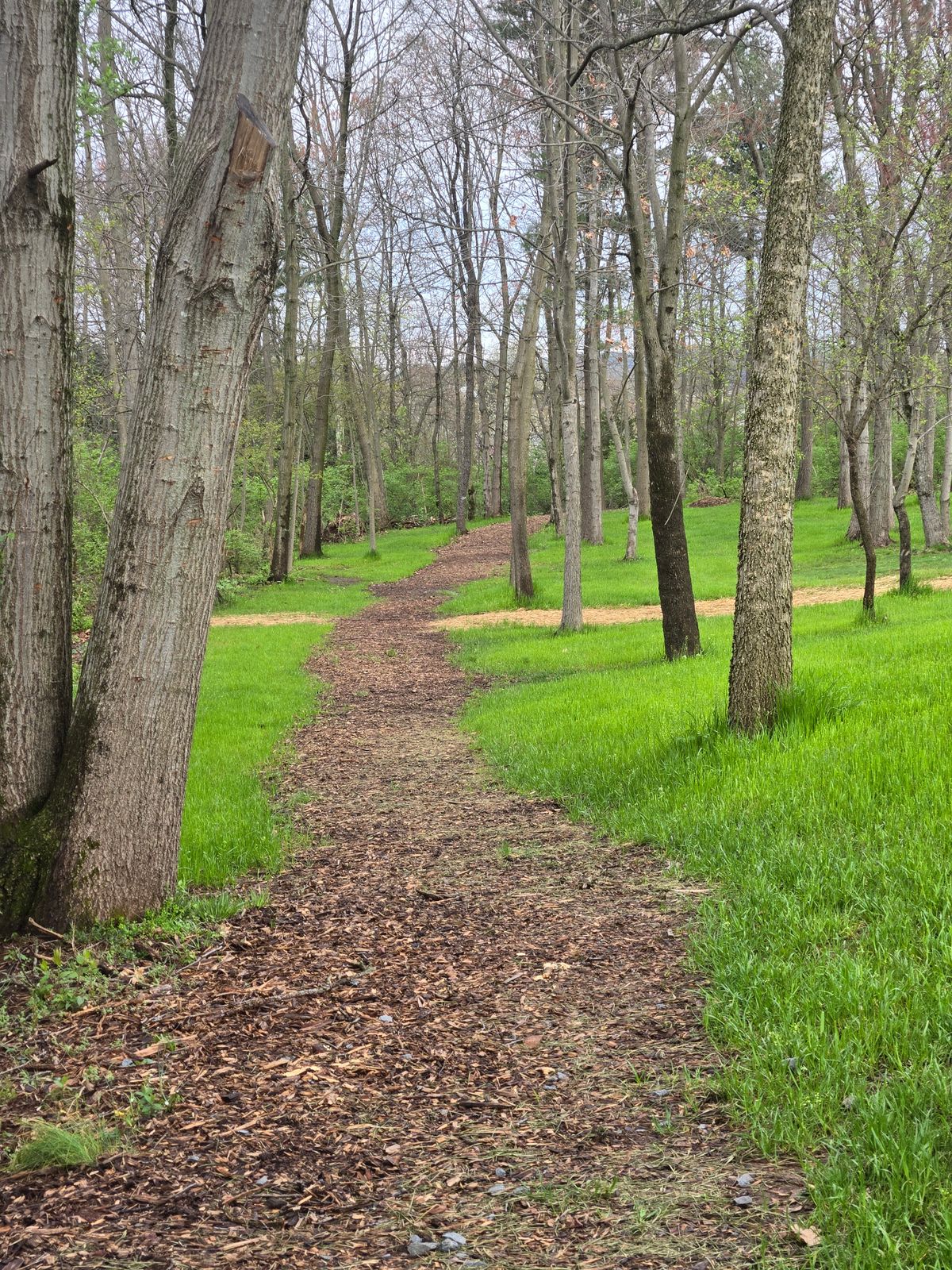 Hole 6 from the teepad
