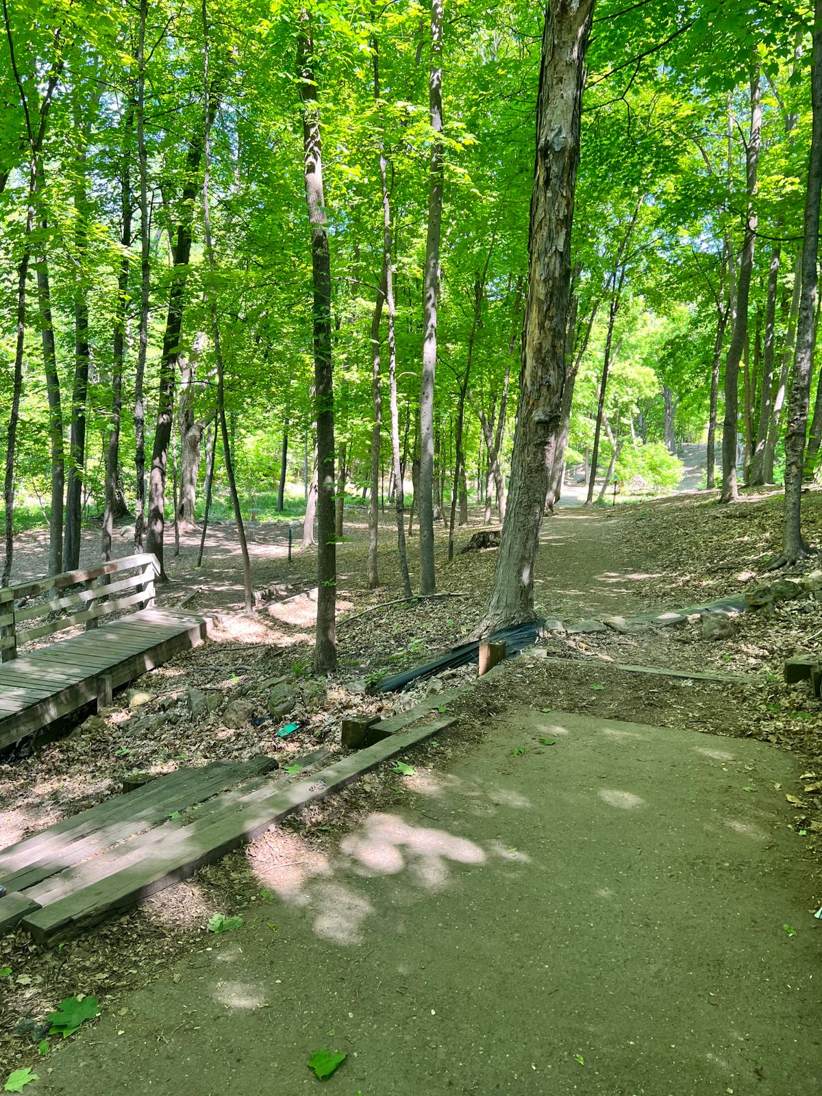 Tee 7. Very beautiful