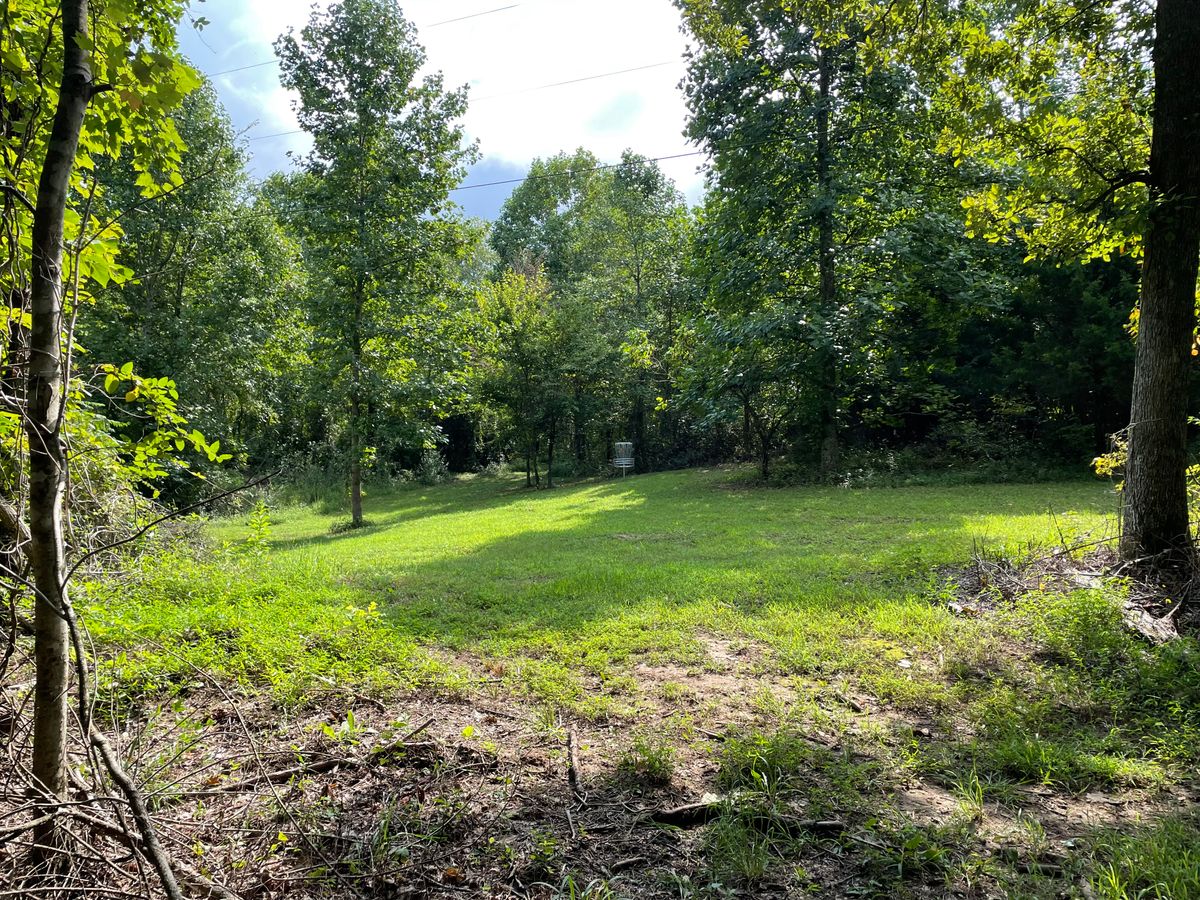 Hole #14