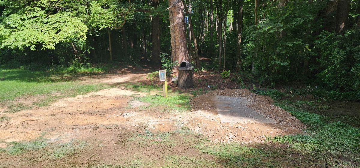 6 tee