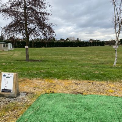 Tee pad 9, looking up the fairway towards the basket. This includes the double mando arrows.