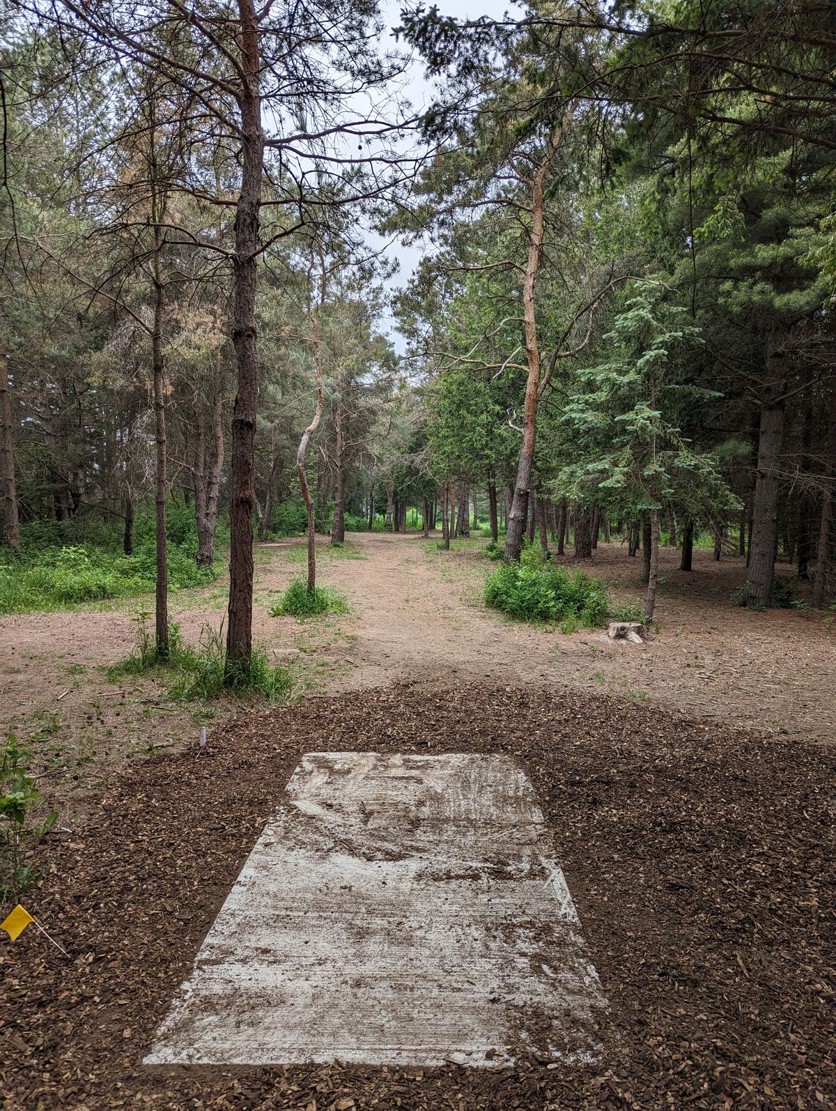 Hole 8 Long