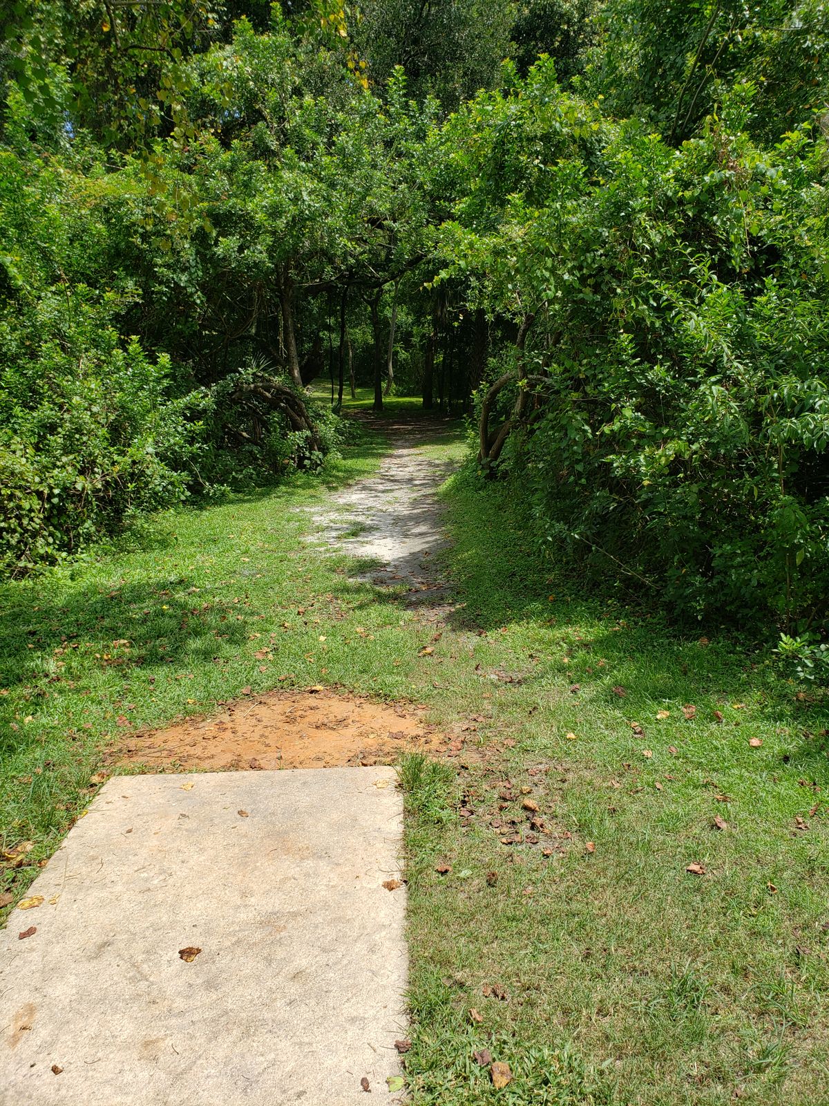 #18 Fairway
