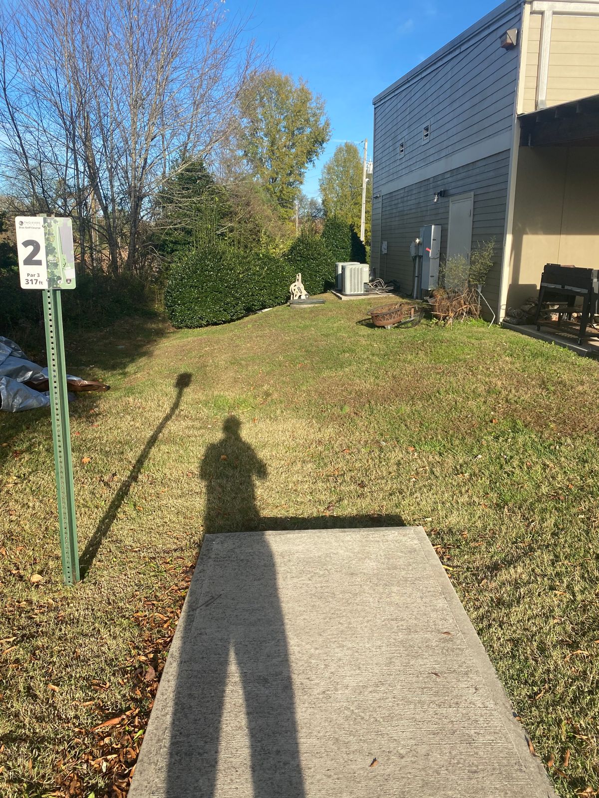 Hole 2 bushes in front of basket.