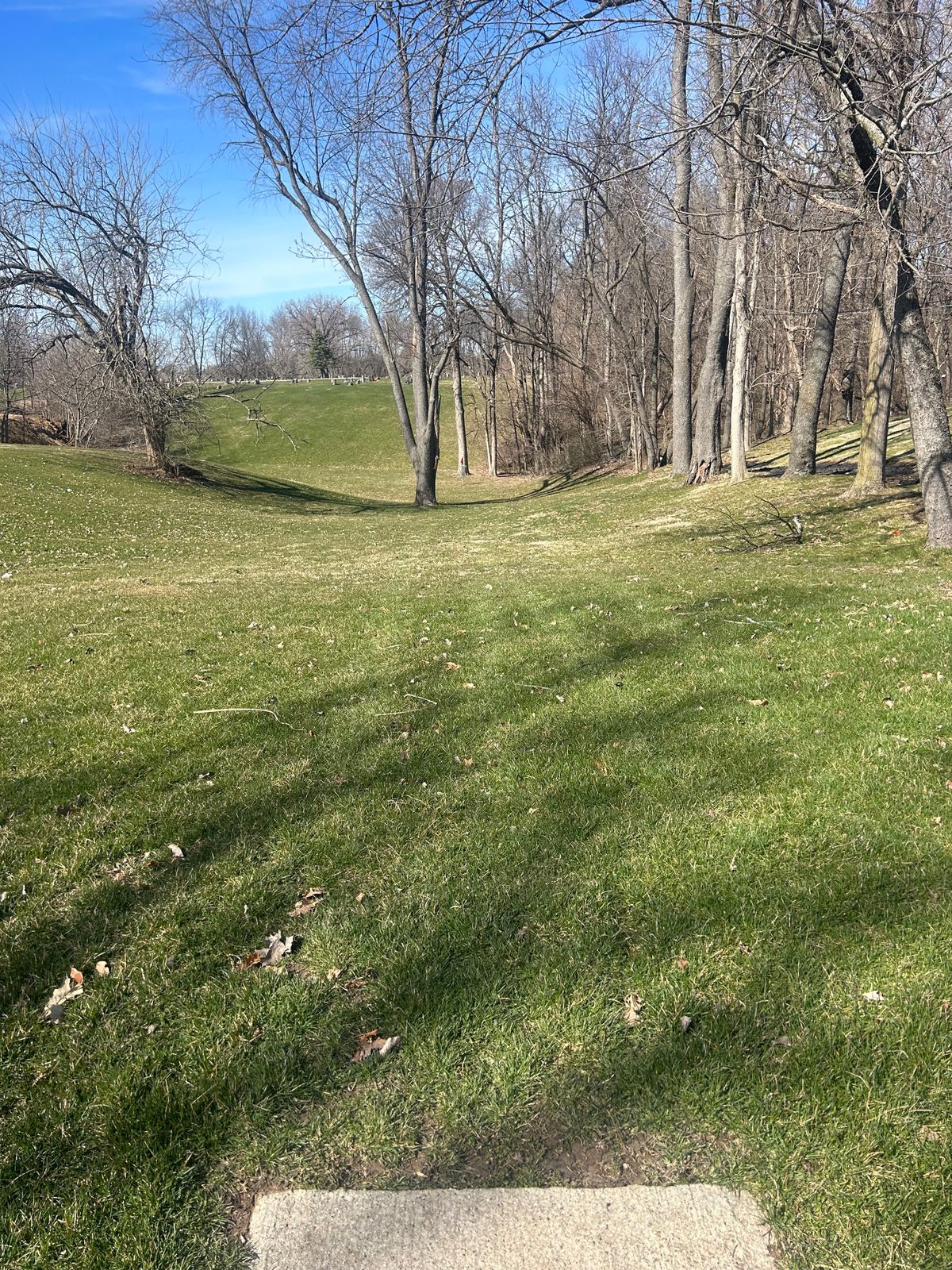 Hole 5 Fairway