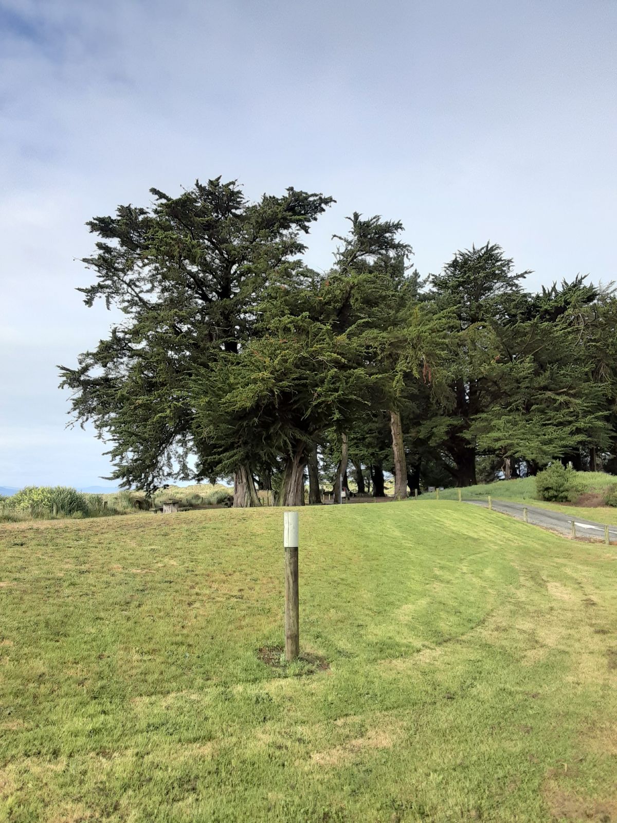 19th pin 1st tee on path to left.