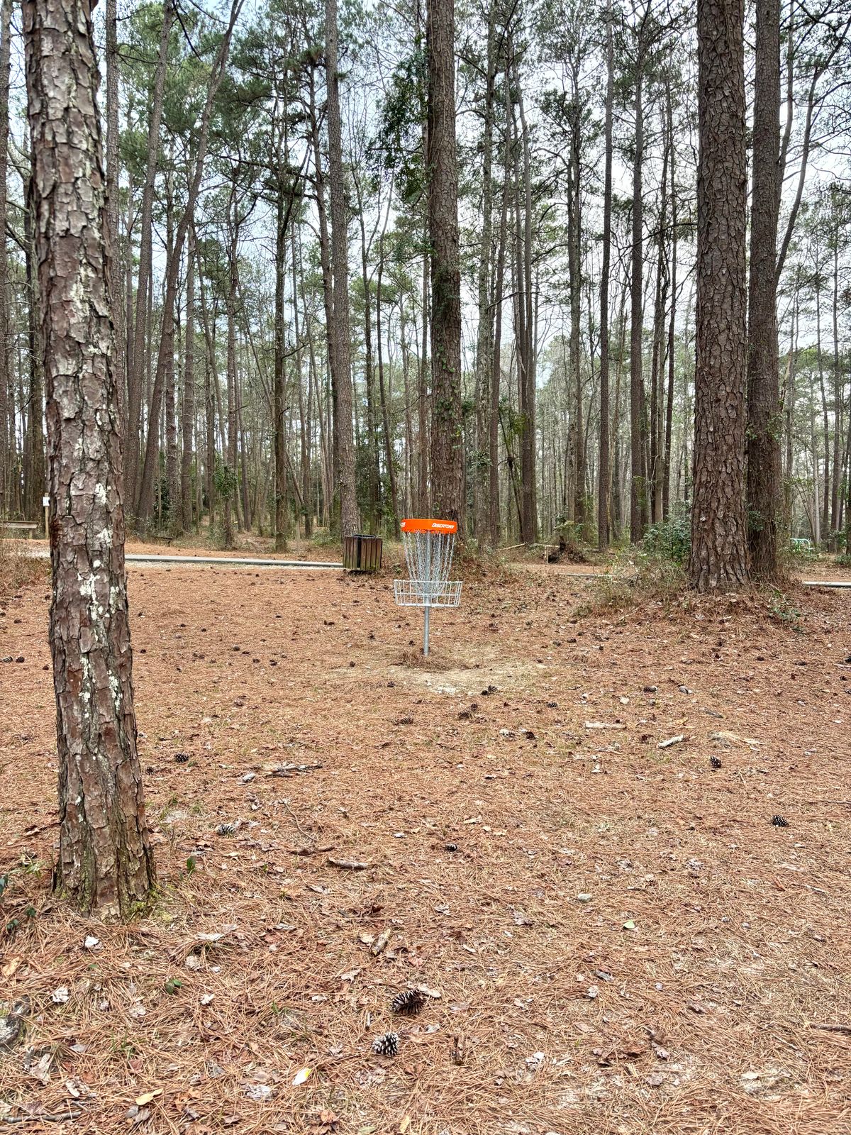 Hole 5 Basket