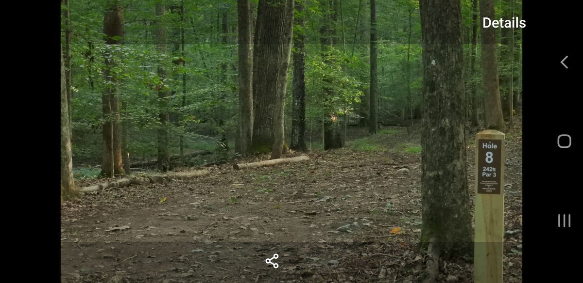 Hole 8 is the only dog leg (R) on course and plays RHBH
Position B DiscCatcher is straight down fairway from tee pad
