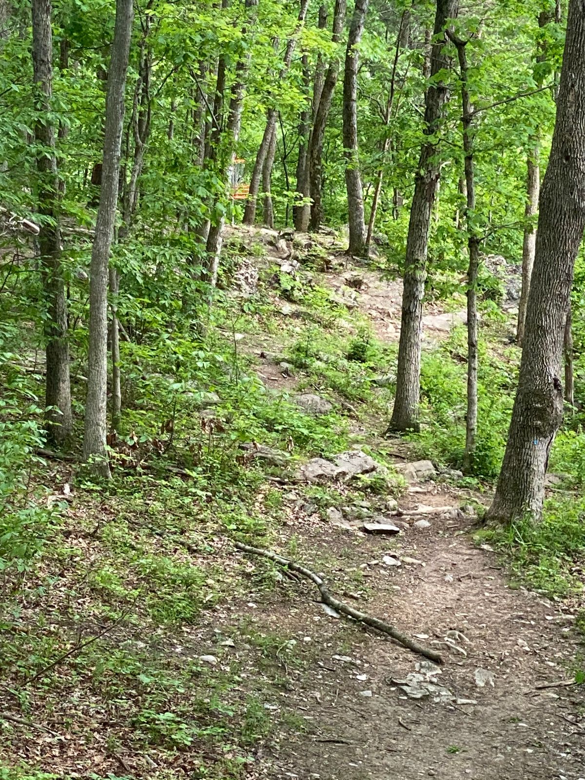 Hole 13