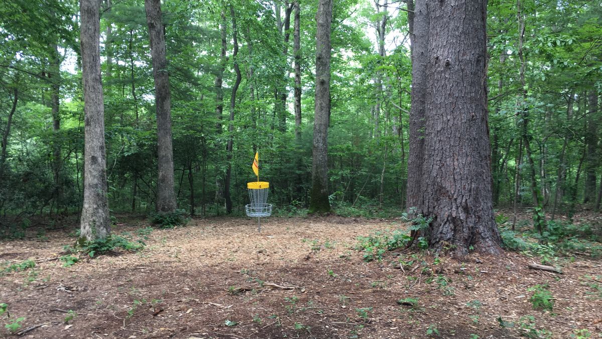Hole 4