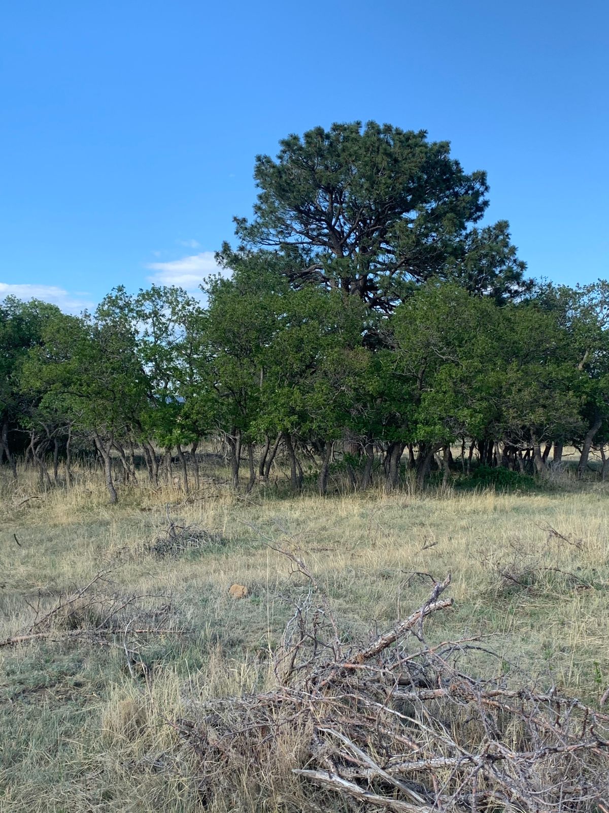 Hole 18 (blind shot)