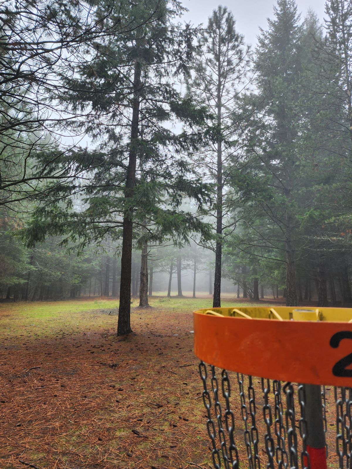 Hole 2 facing tee pad