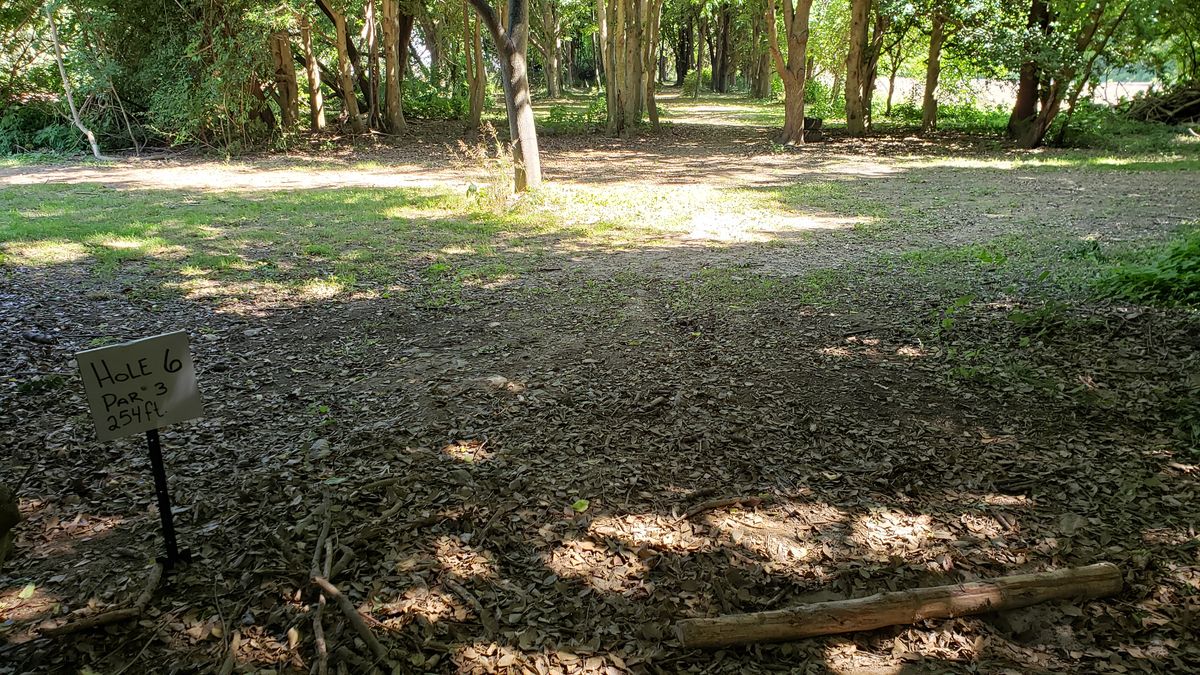 Hole 6 short tee