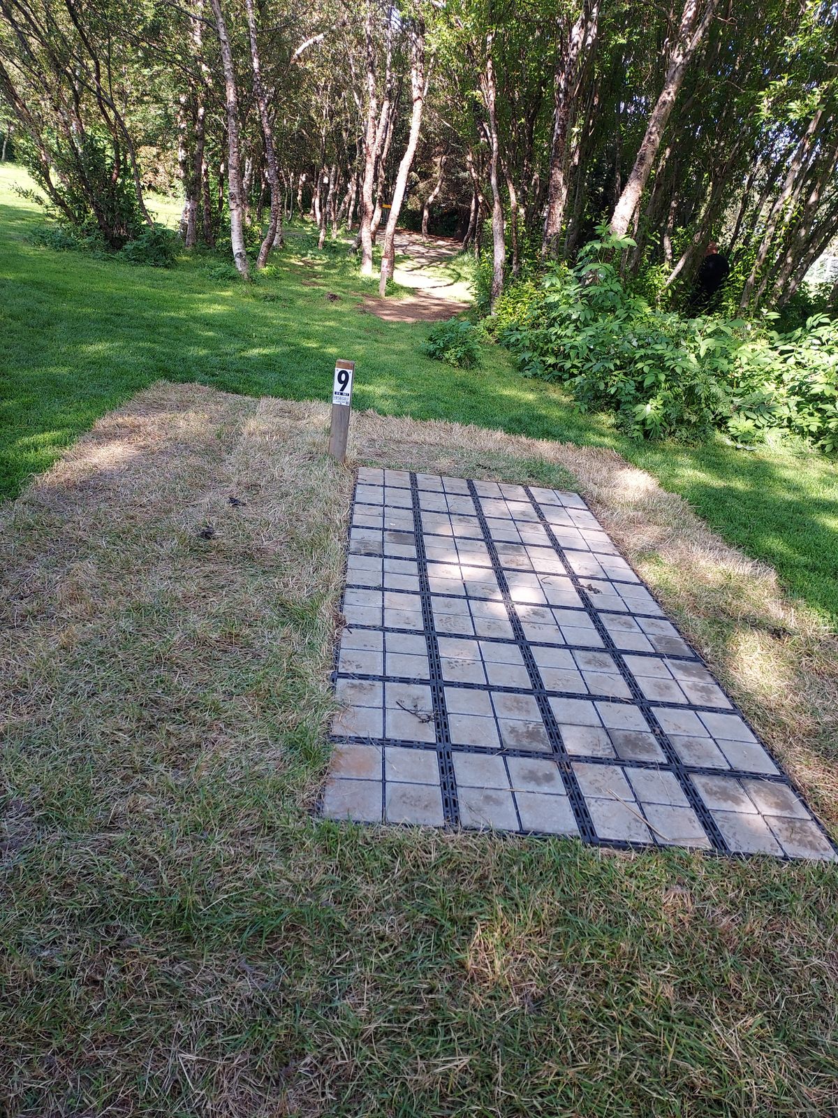 New platforms on all tees 2023