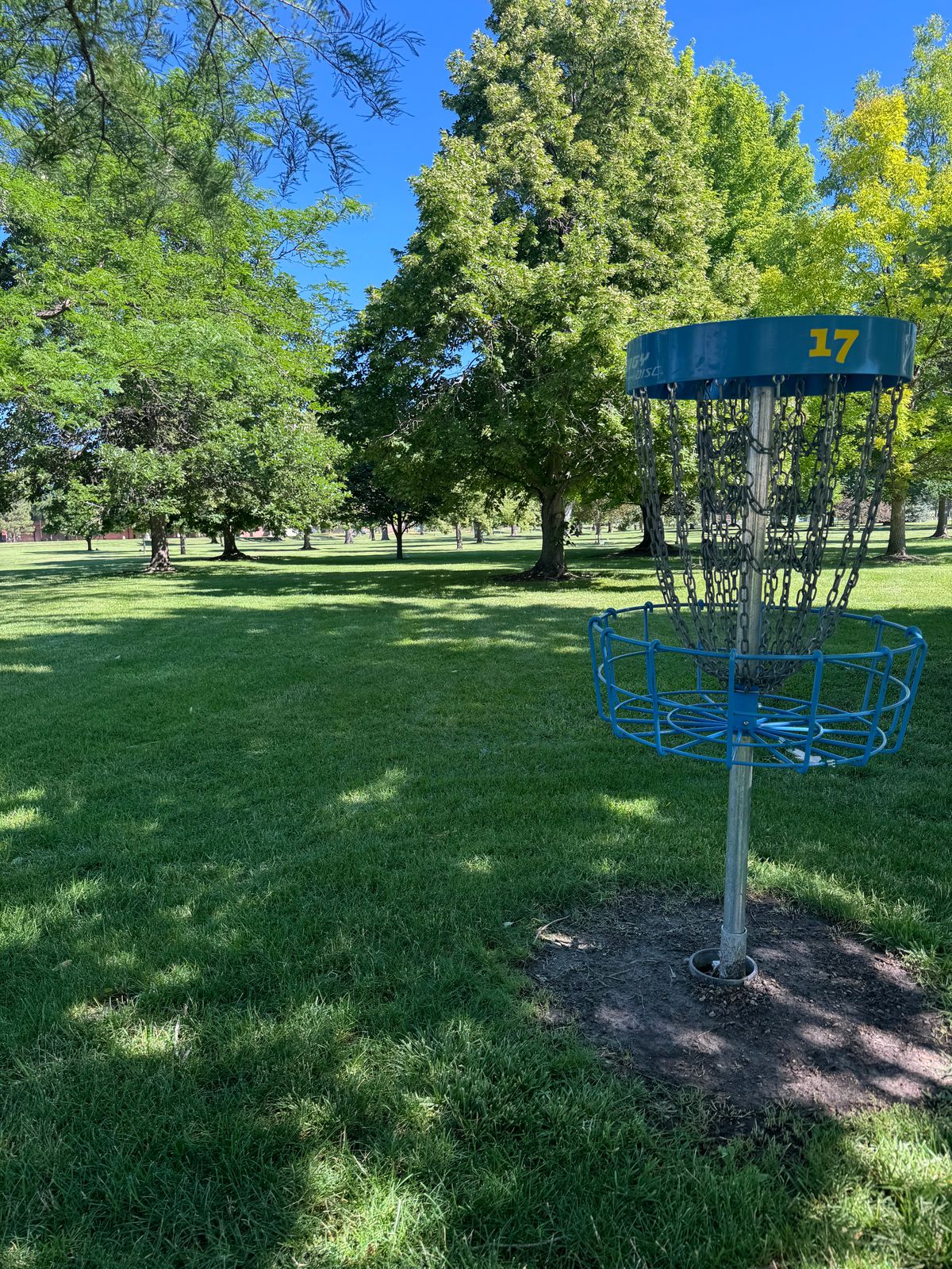 Basket looking back at tee box.