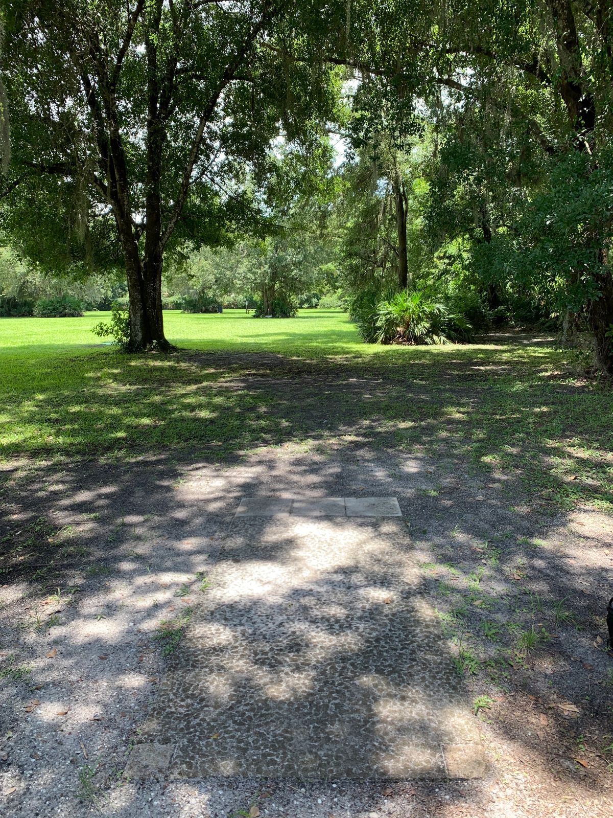 Hole 5