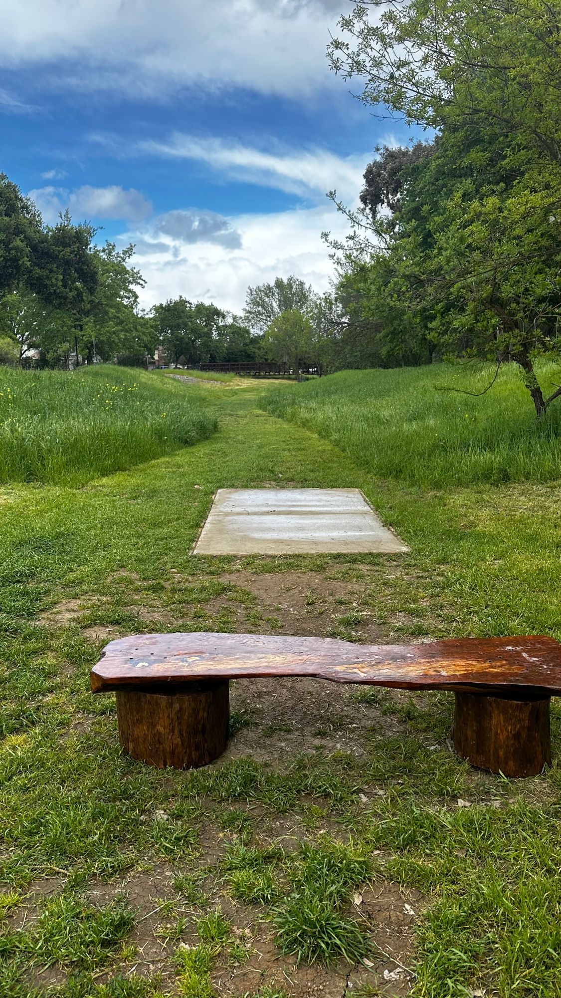 View of Tee Pad #5/#14