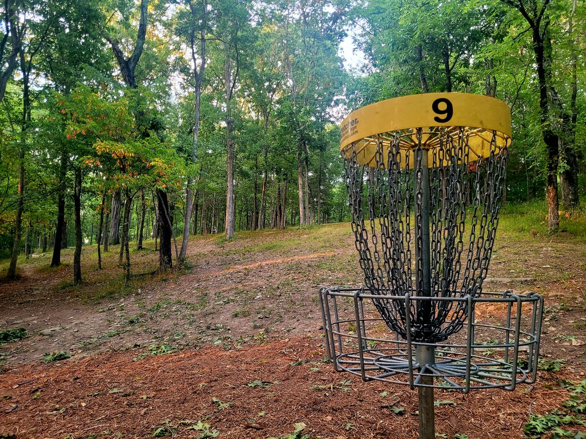 Hole 9 - Behind basket looking back to Fairways