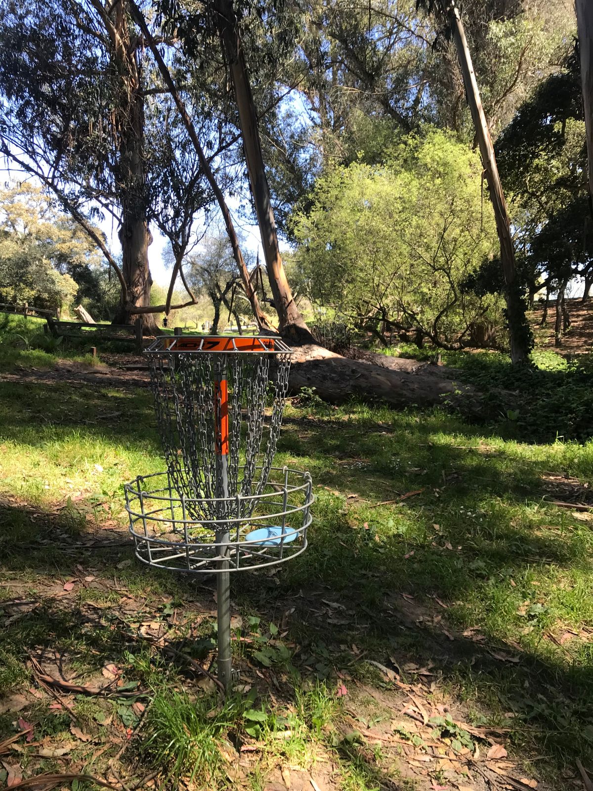 Hole 2 looking back at tee