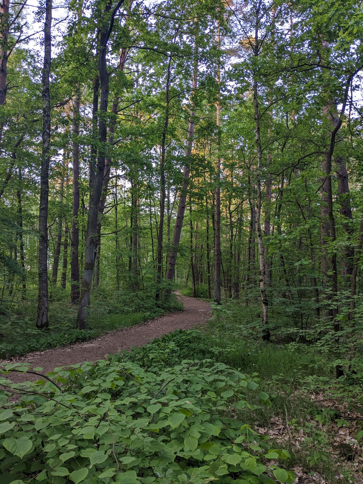 Hole 10