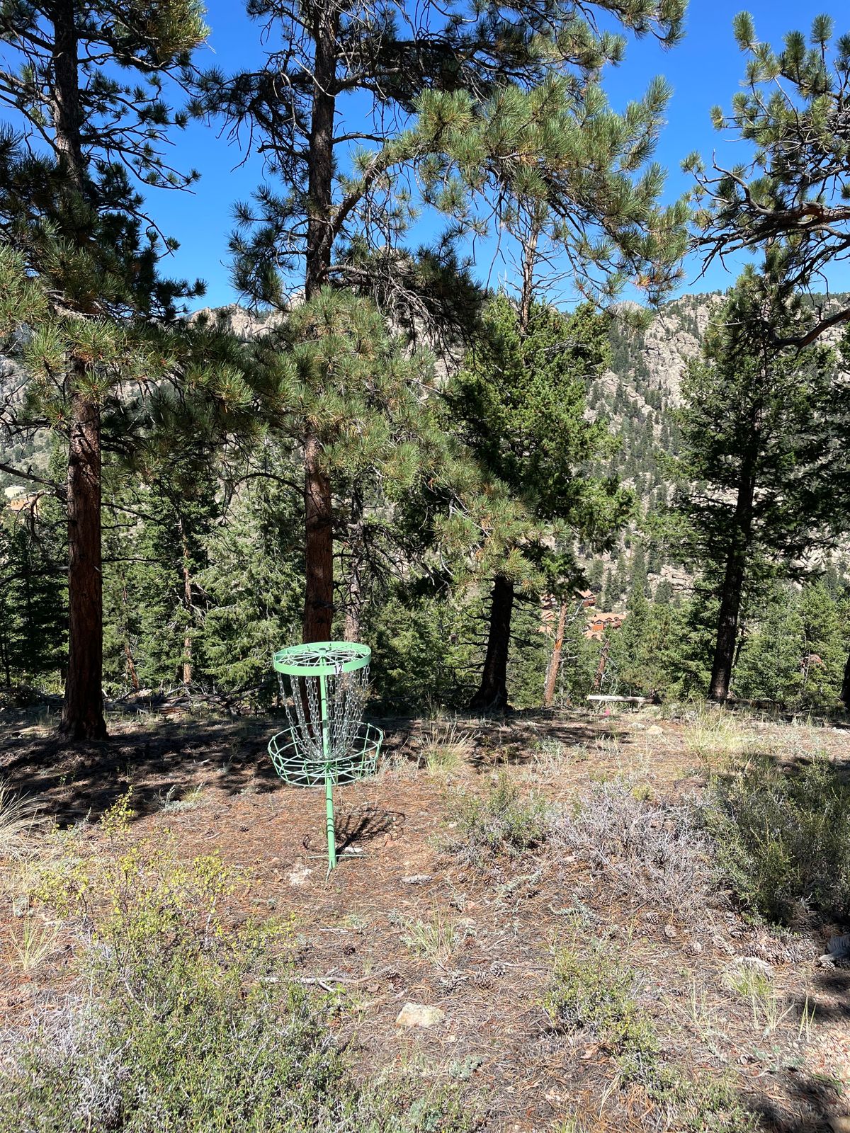 Hole 12 basket