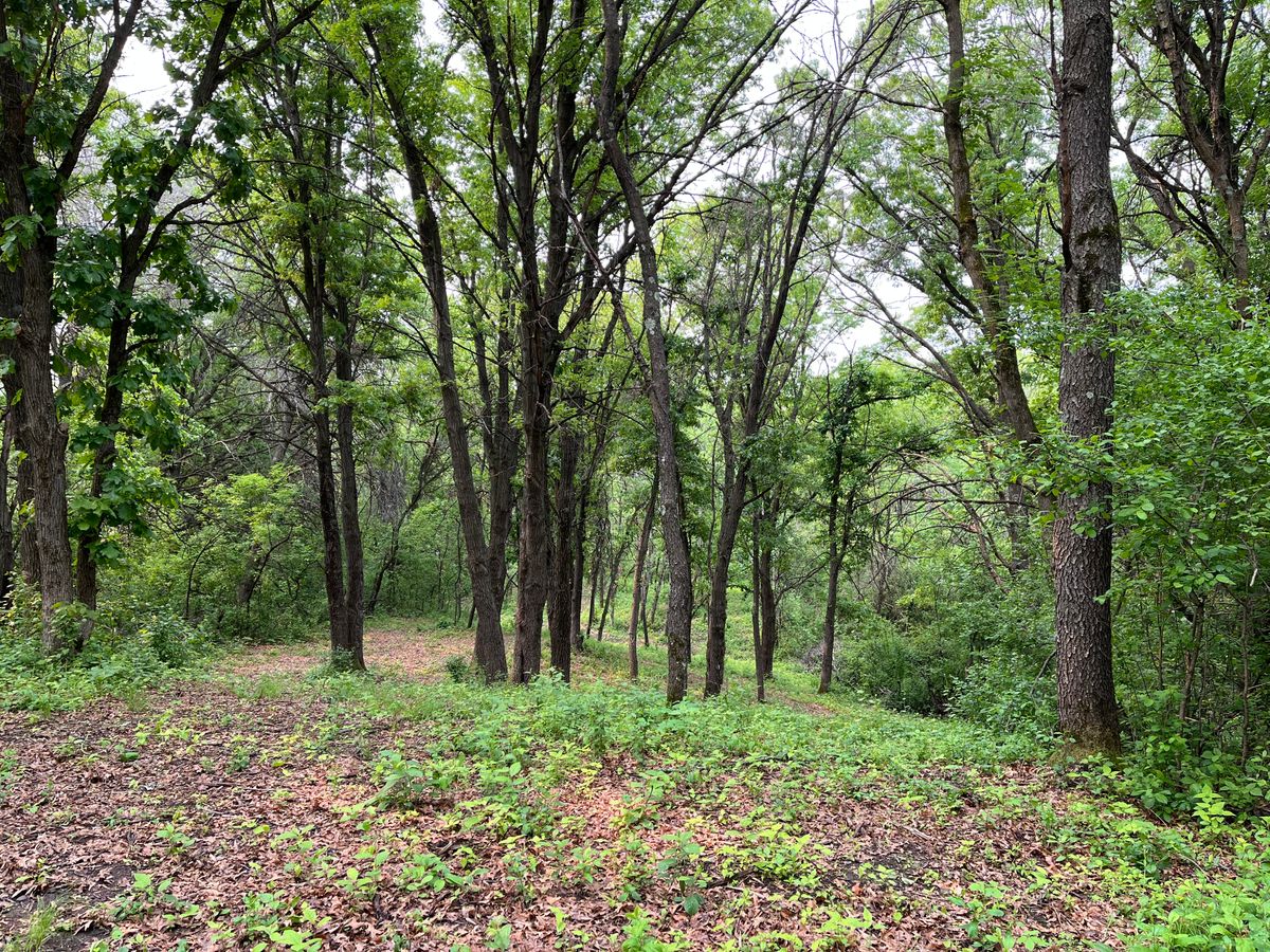 14’s fairway