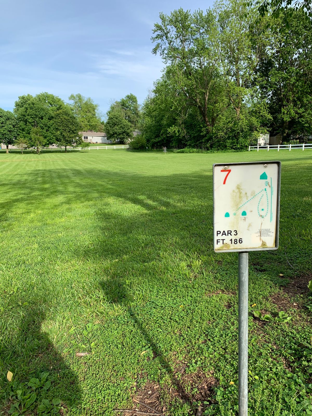 Tee #7