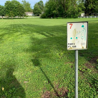 Tee #7