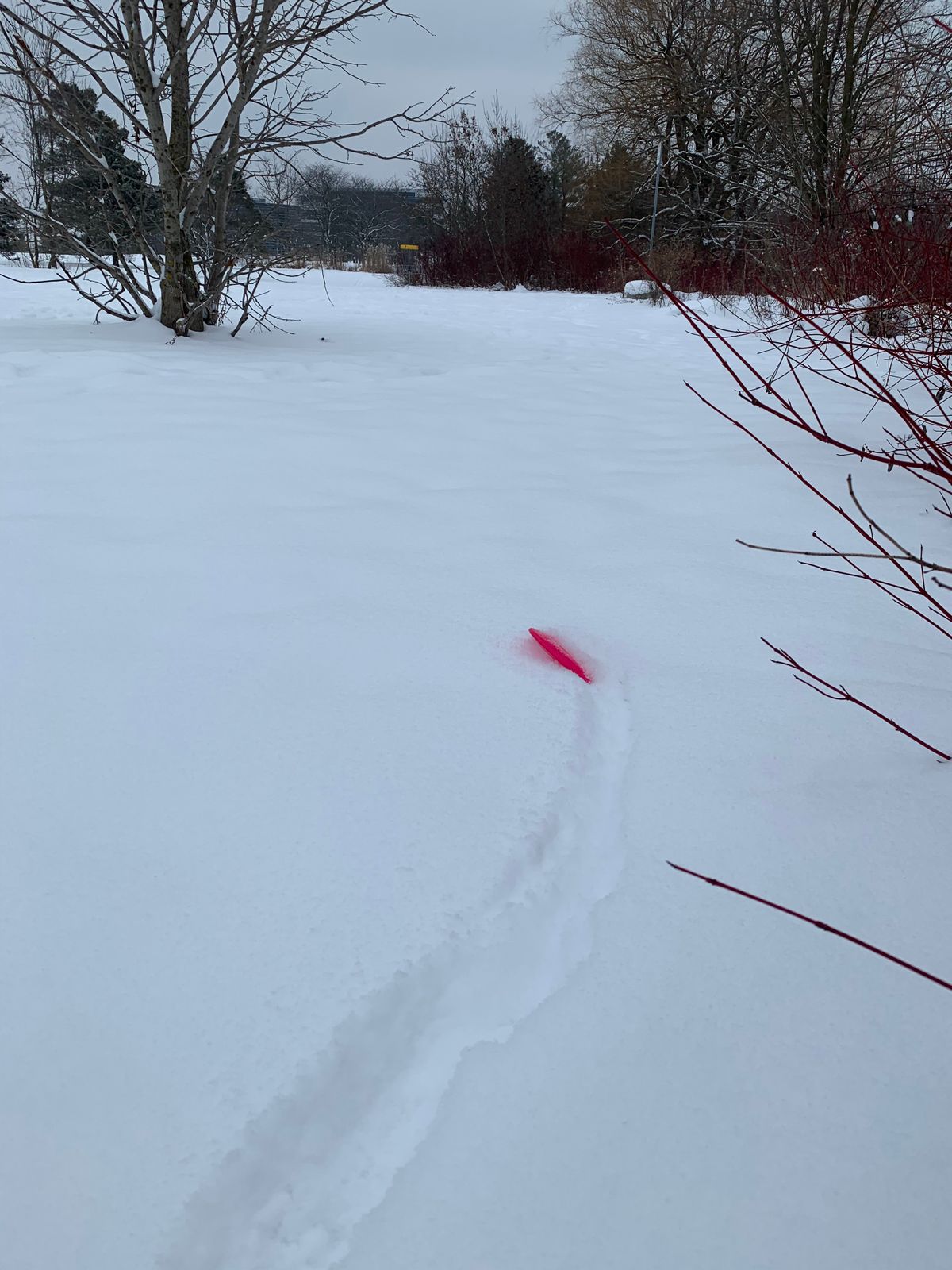 Hole 7