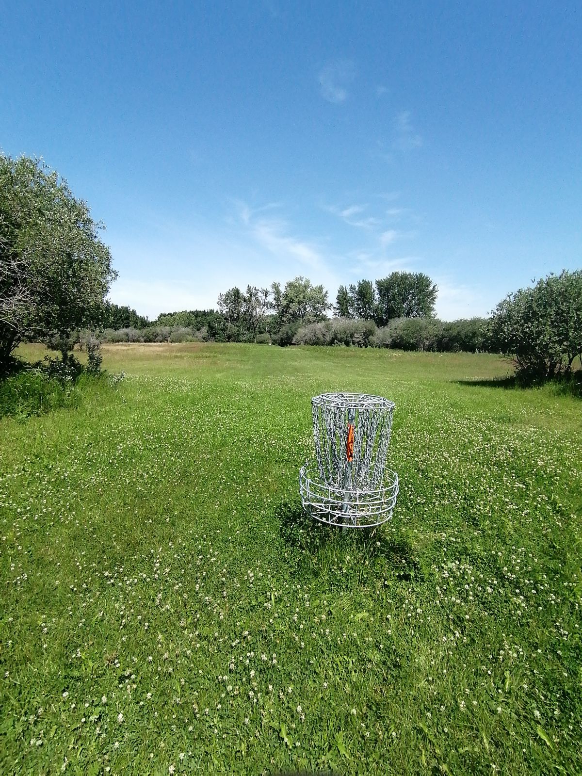 #14 green looking back towards tee