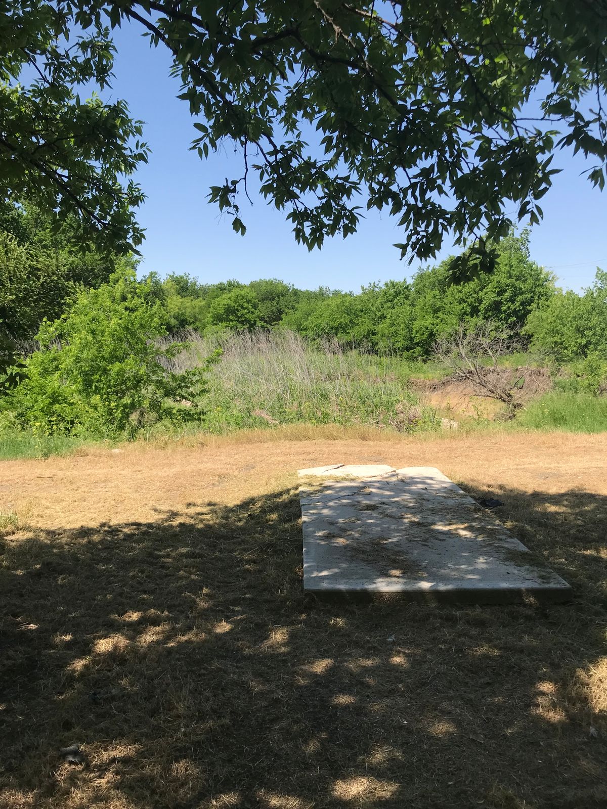 Hole 5 from tee