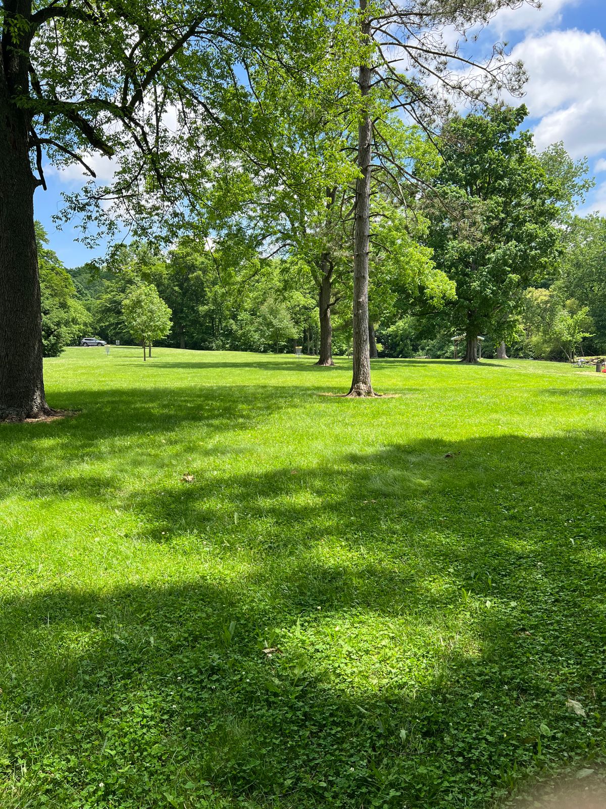 Hole 5 Yellow Tee