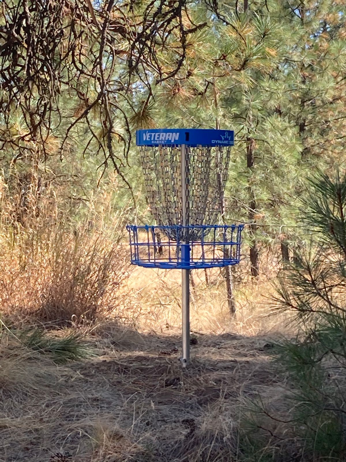Hole ones basket and green