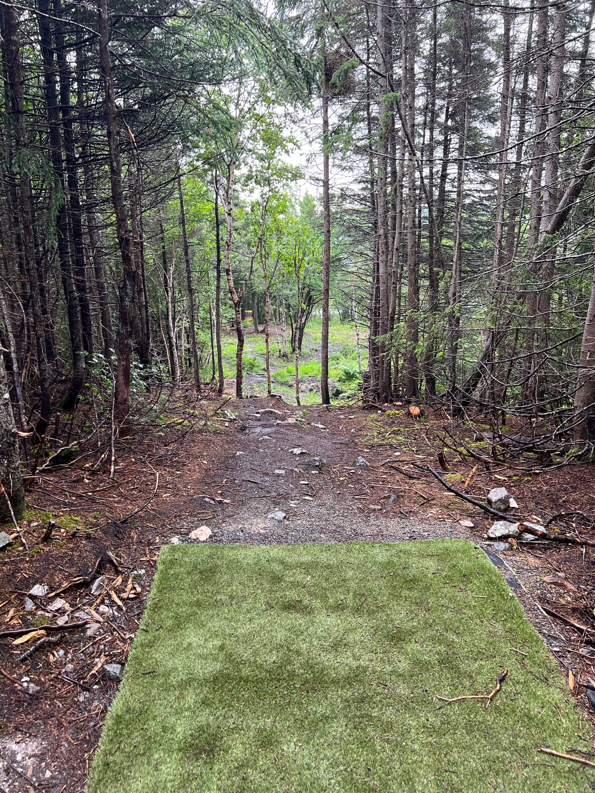 Hole 18 Tee