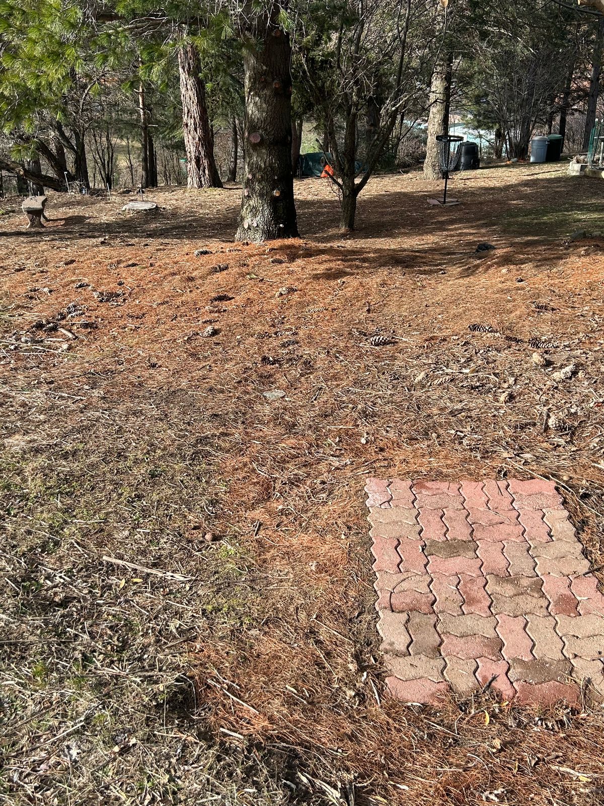 Hole #16. 133’ down hill. Avoid the roll away!