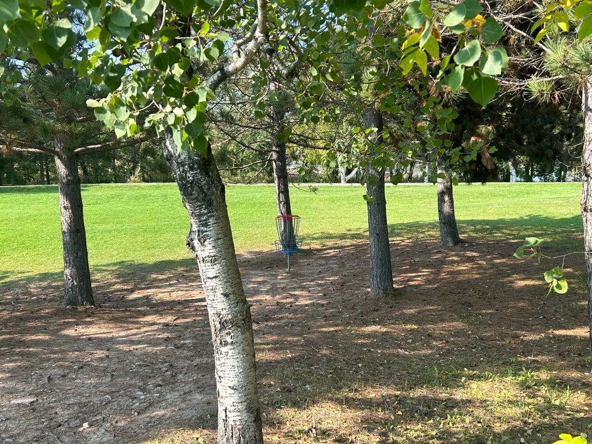 Hole 1 basket