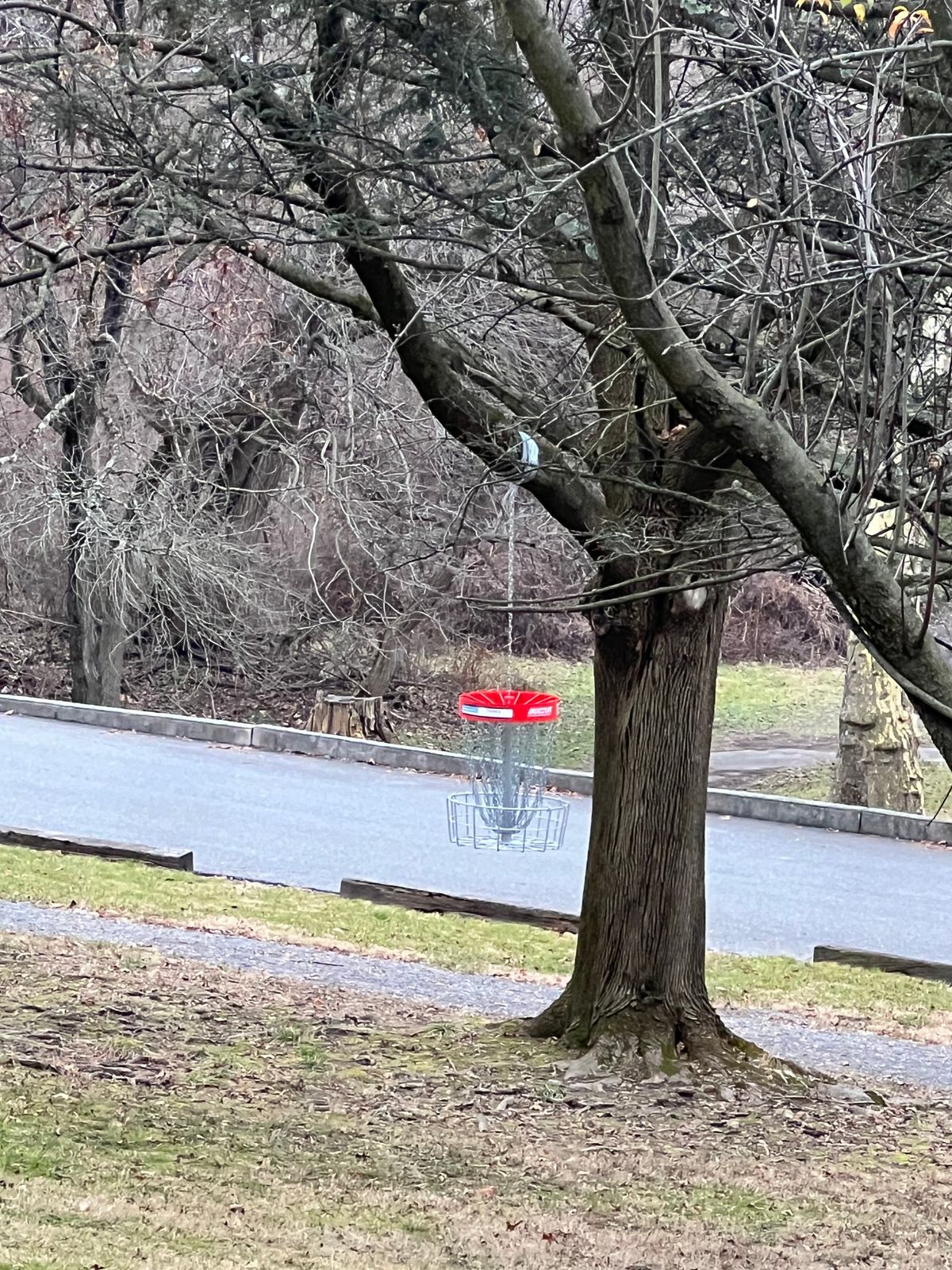 Red basket on hole 13