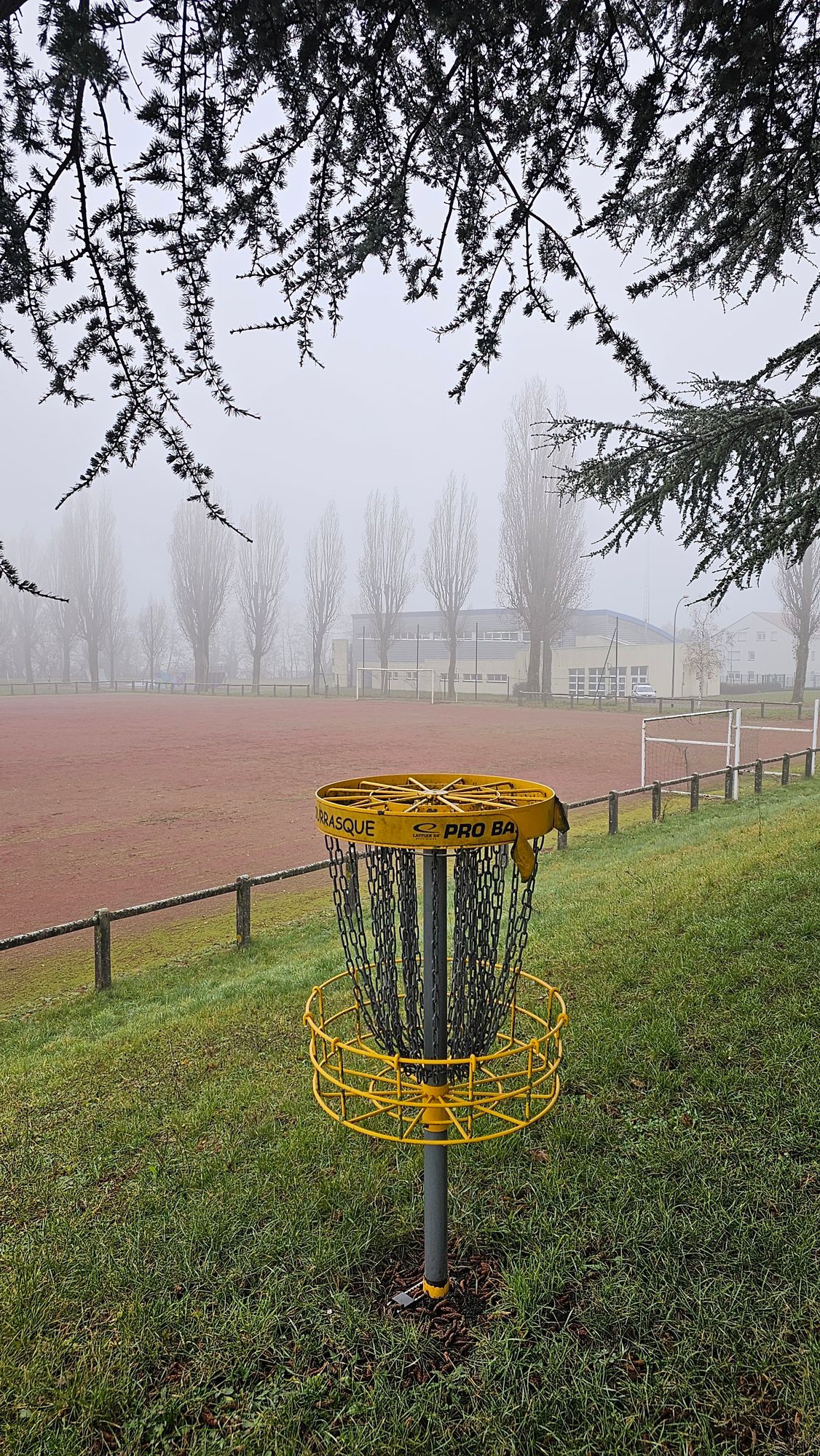 Basket 6, looking back towards the tee pad.