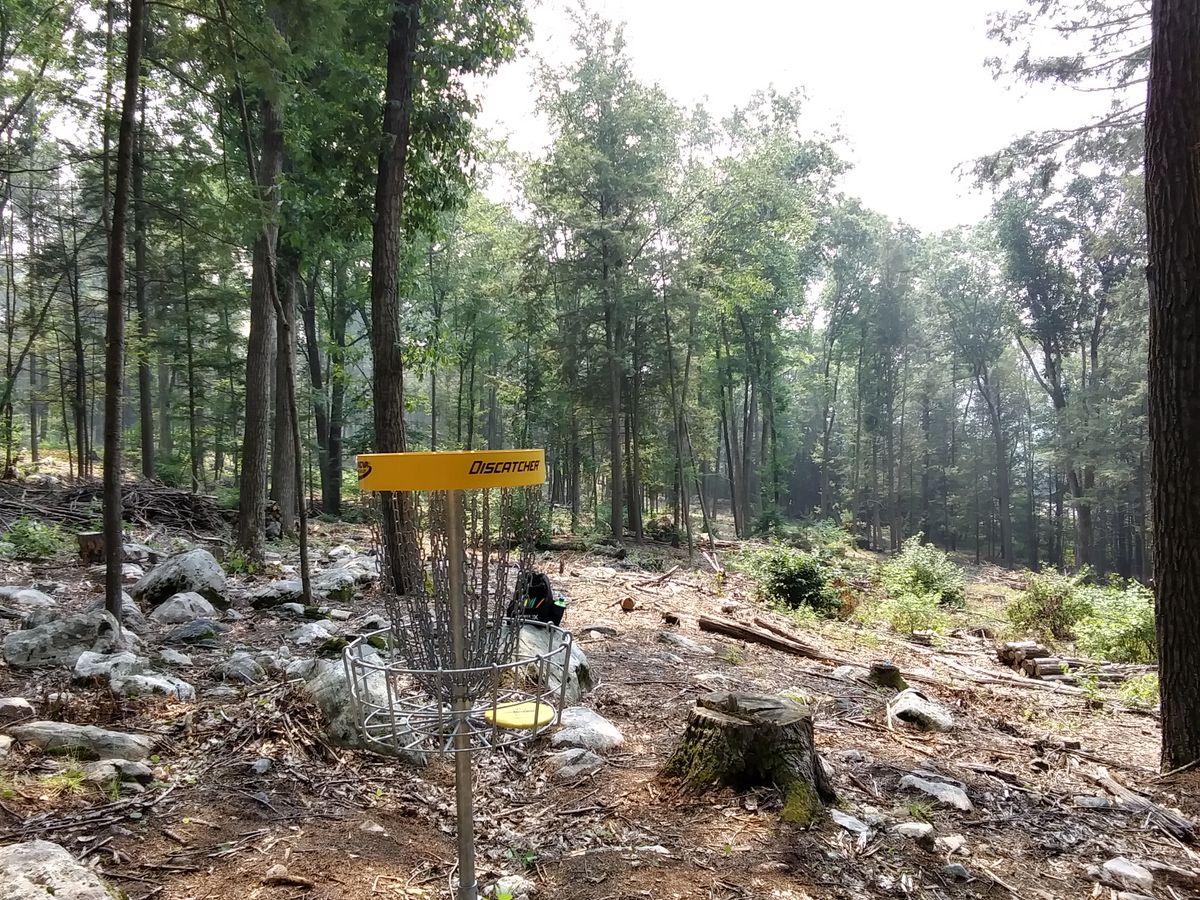 Hole 16 basket, looking back at fairway.