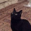 User avatar image