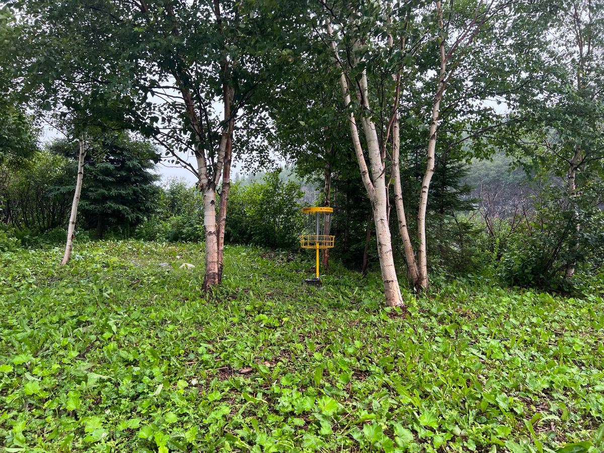 Hole 12 Basket