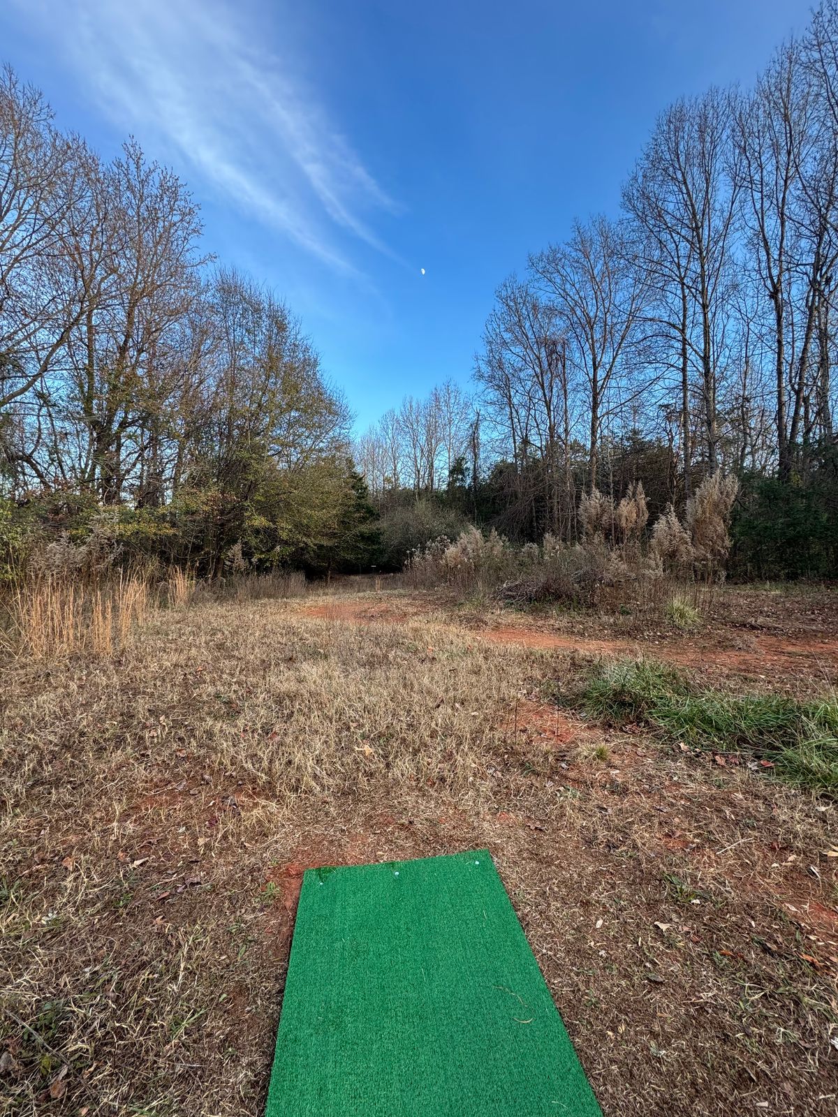 Hole 16 Short