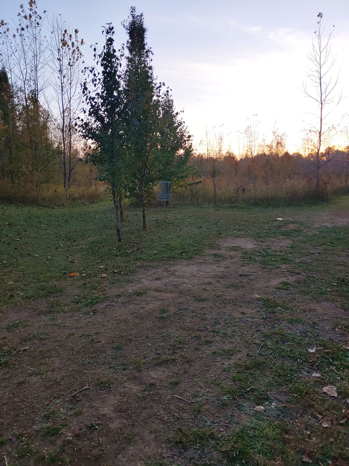 Hole 6 basket