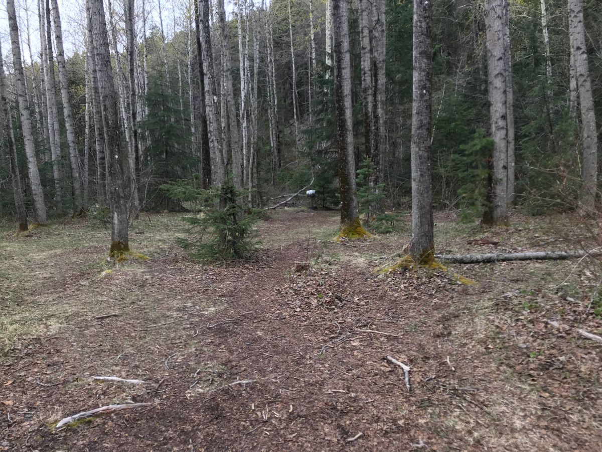 Hole 1: down the fairway