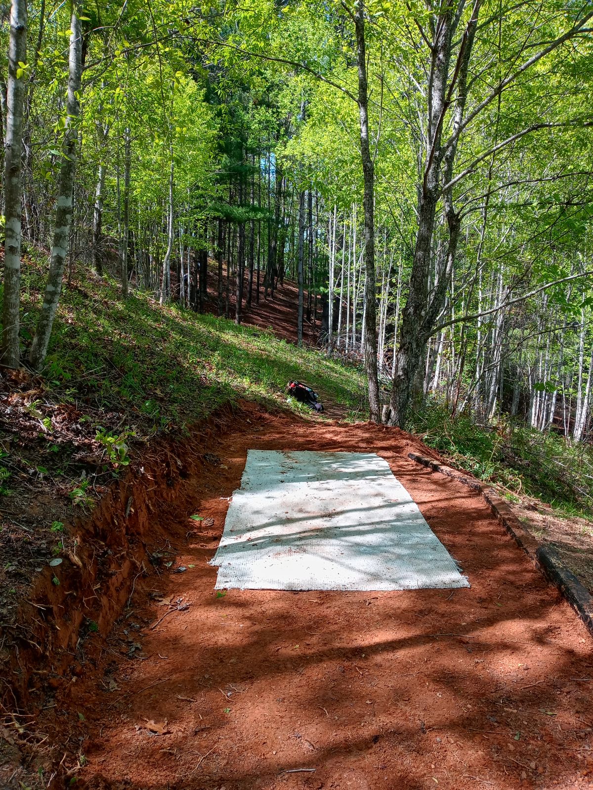 Hole 12 teebox