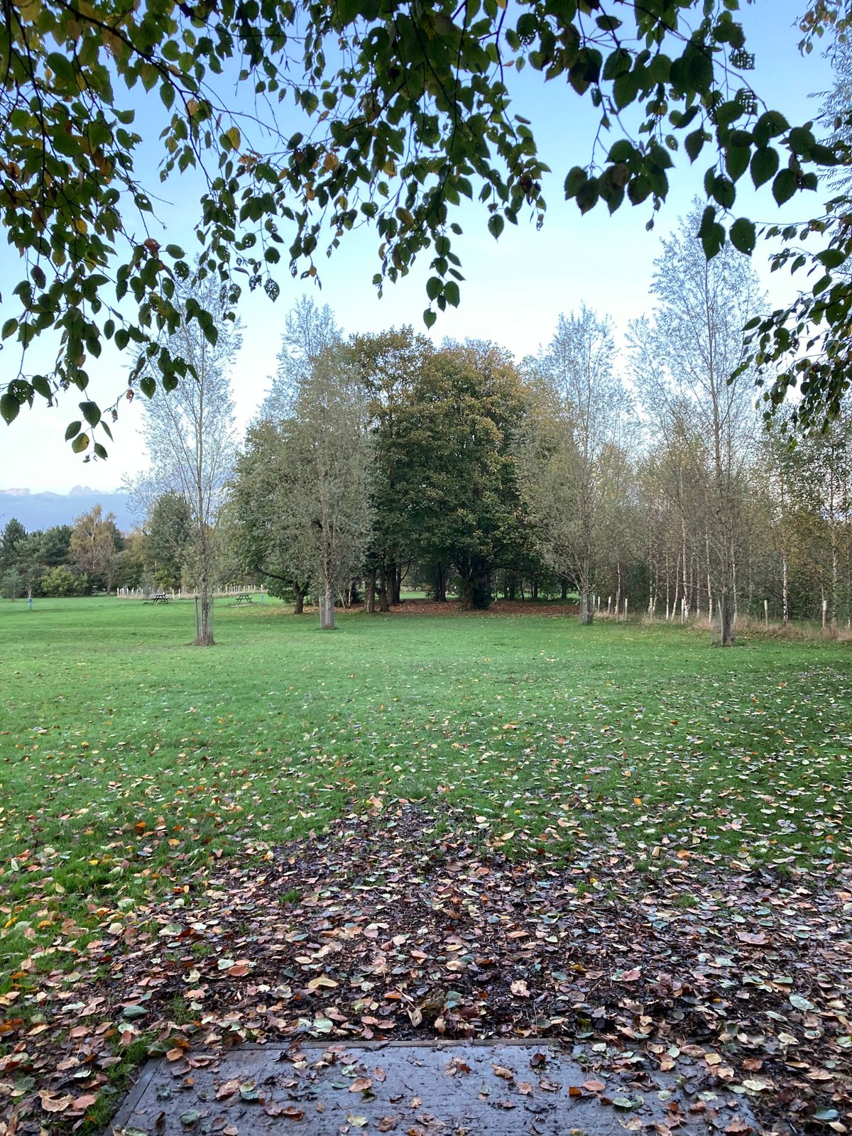 It’s just straight down the middle from the shared tee on this autumnal evening.