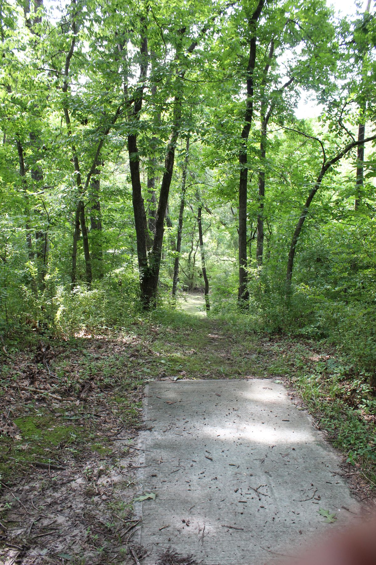 Hole 5 (Tee)