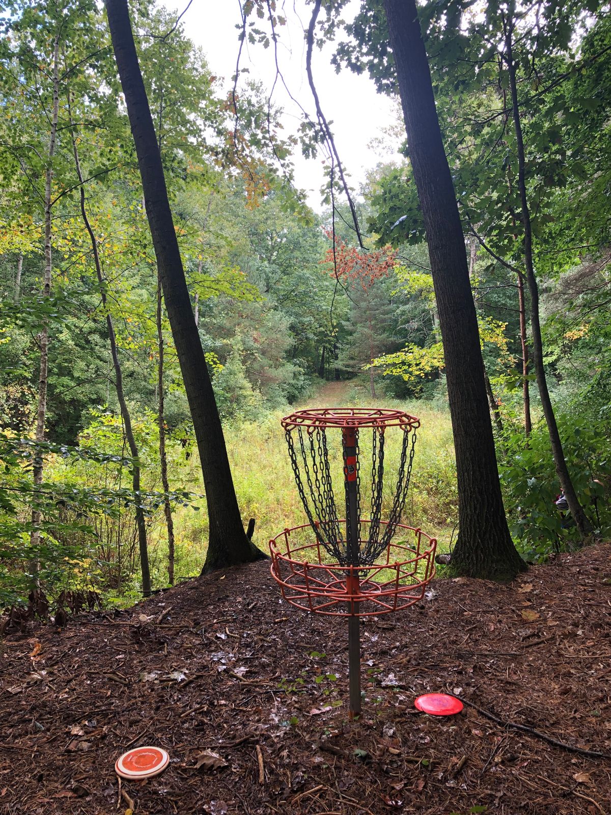Hole 2 Original 9