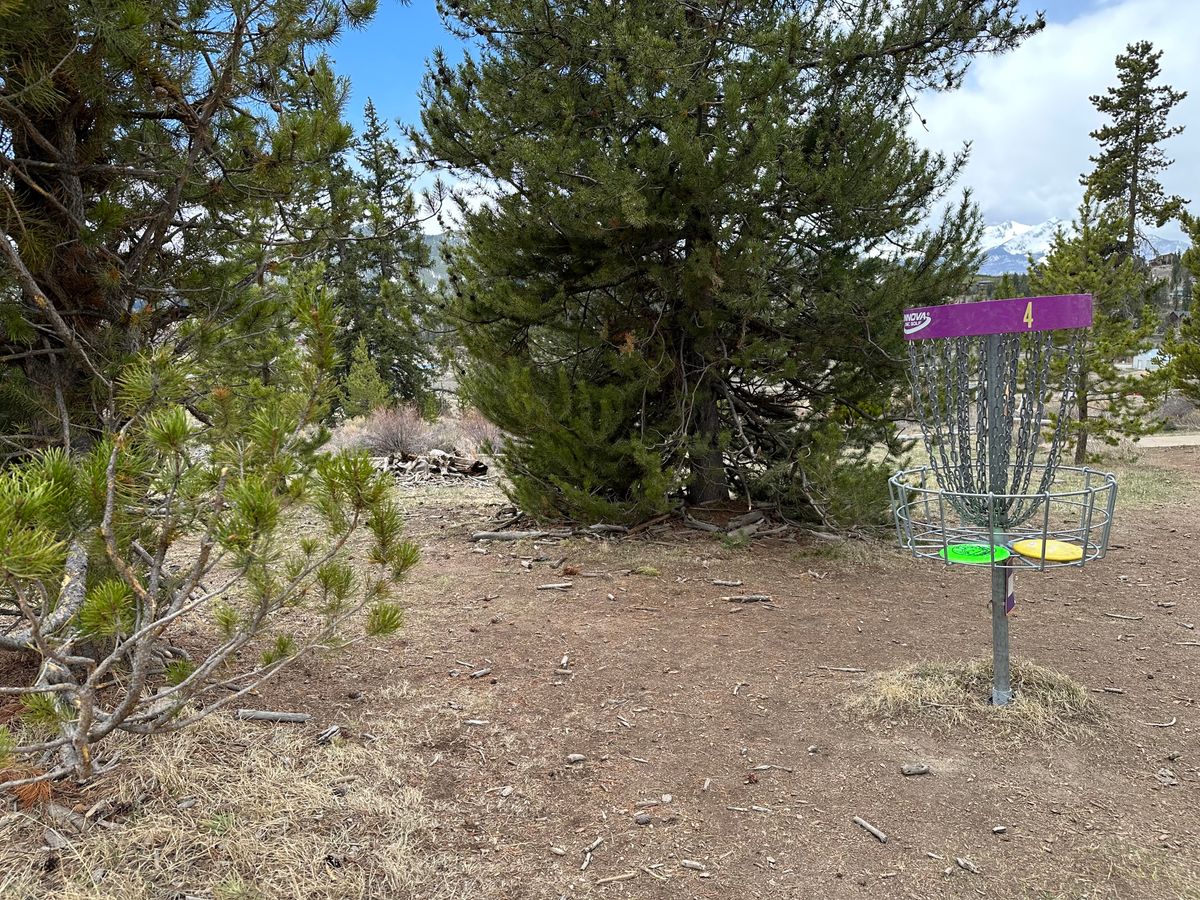 Hole 4 Basket